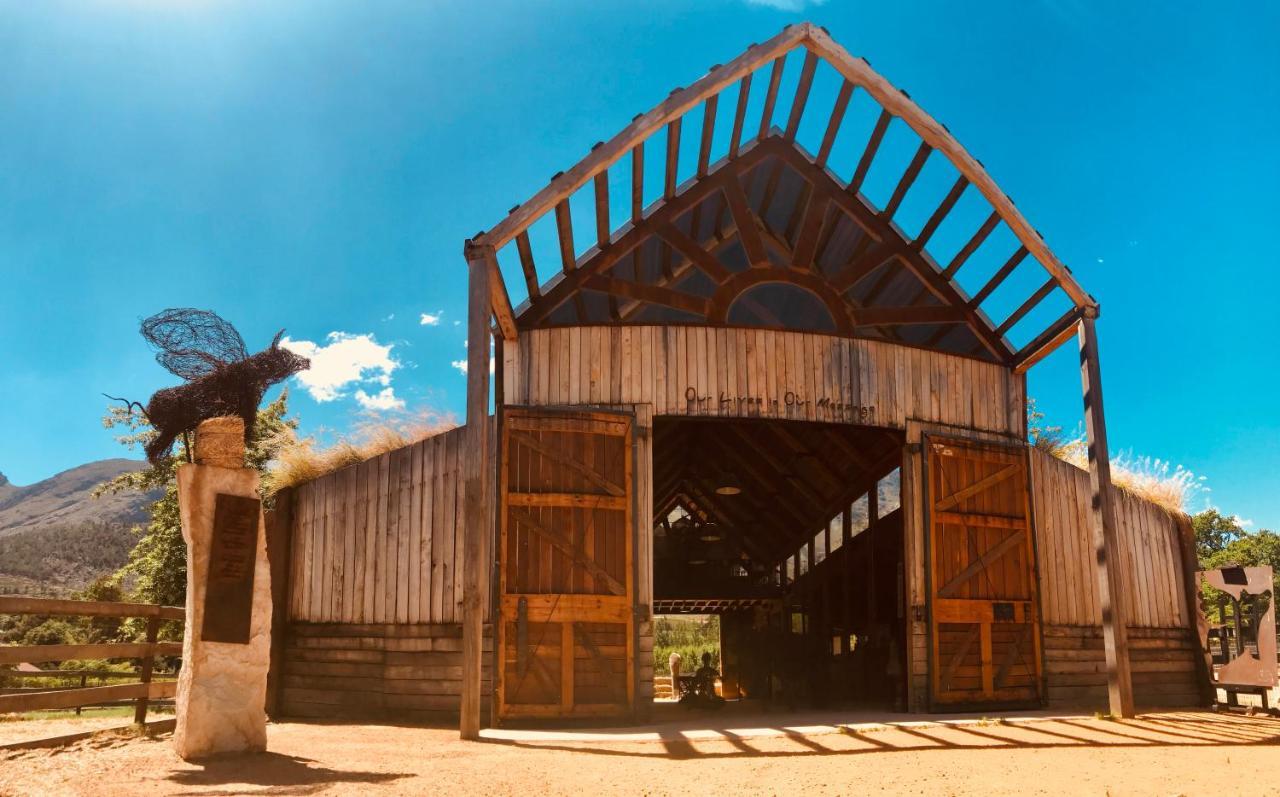 Inspiring Farm Sanctuary And Famous Painting Pig Hotel Franschhoek Ngoại thất bức ảnh