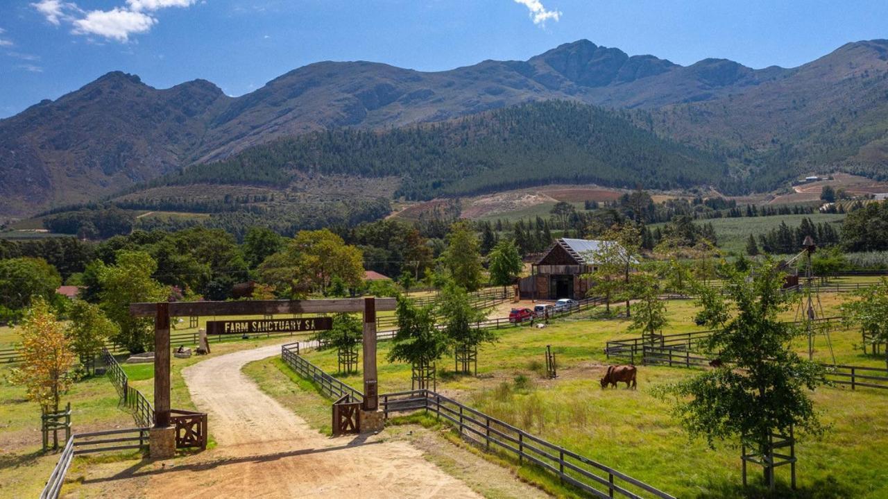 Inspiring Farm Sanctuary And Famous Painting Pig Hotel Franschhoek Ngoại thất bức ảnh
