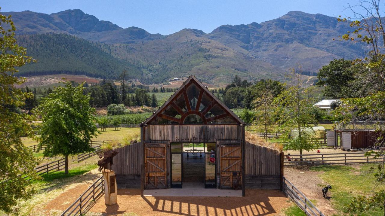 Inspiring Farm Sanctuary And Famous Painting Pig Hotel Franschhoek Ngoại thất bức ảnh