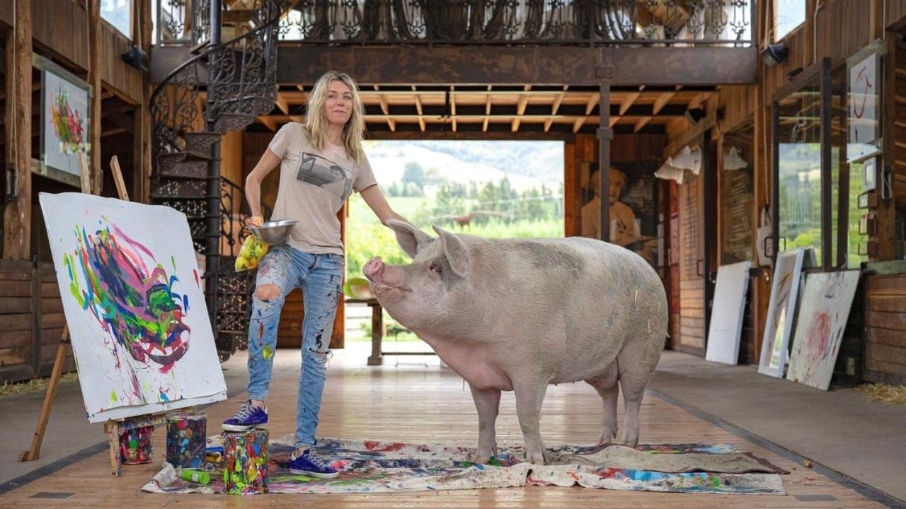 Inspiring Farm Sanctuary And Famous Painting Pig Hotel Franschhoek Ngoại thất bức ảnh