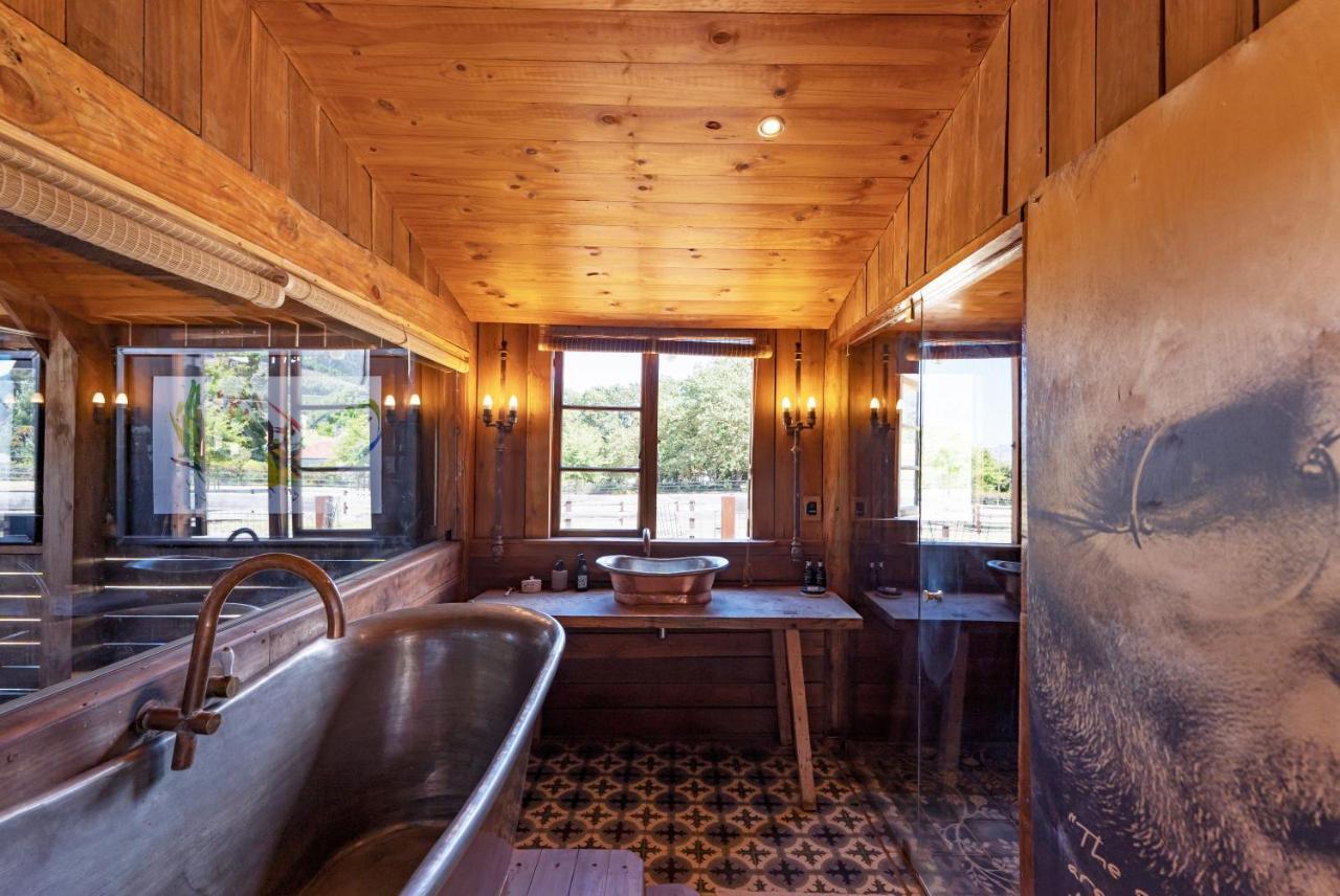 Inspiring Farm Sanctuary And Famous Painting Pig Hotel Franschhoek Ngoại thất bức ảnh