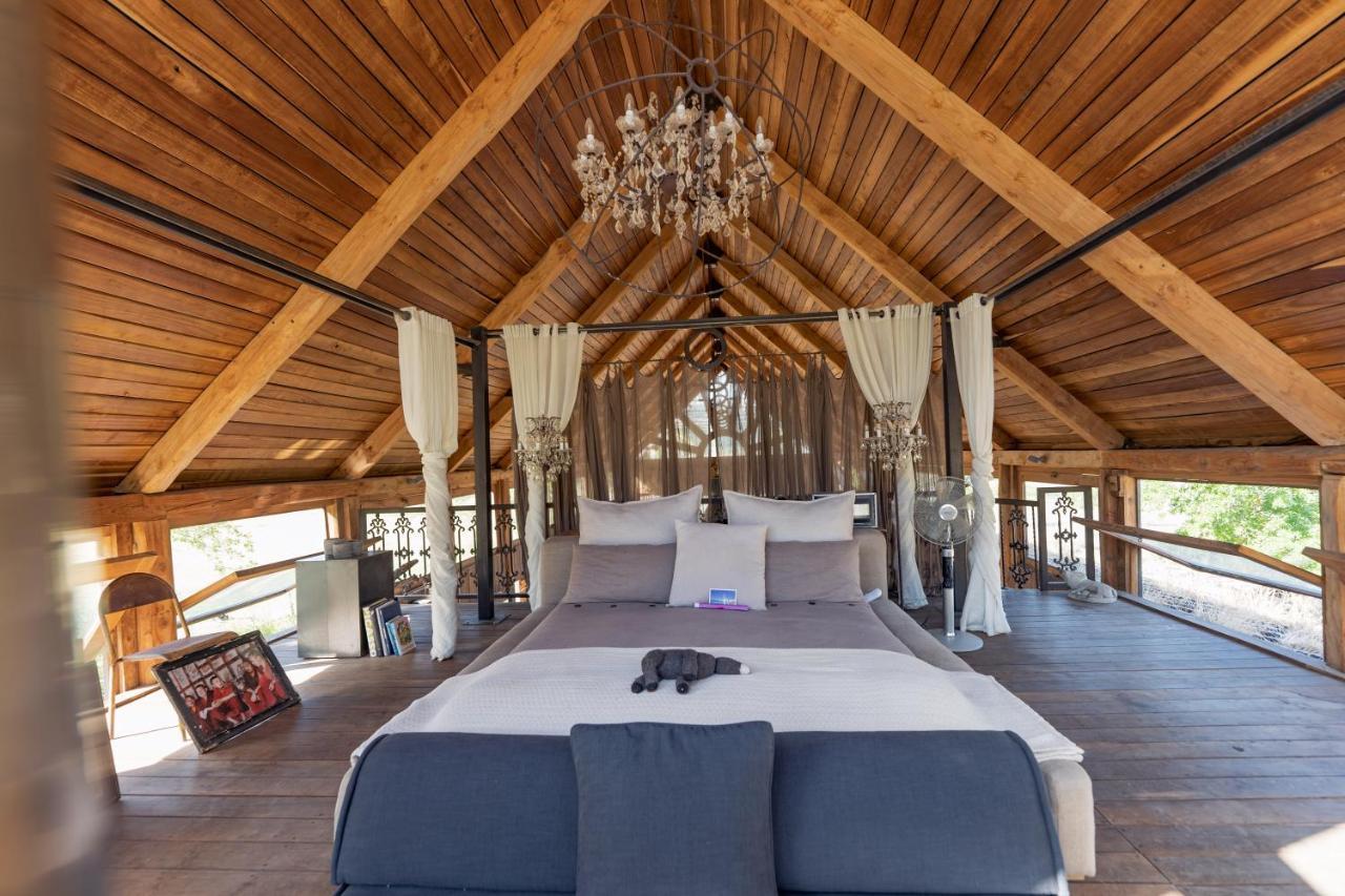 Inspiring Farm Sanctuary And Famous Painting Pig Hotel Franschhoek Ngoại thất bức ảnh