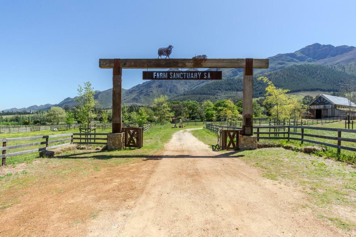 Inspiring Farm Sanctuary And Famous Painting Pig Hotel Franschhoek Ngoại thất bức ảnh